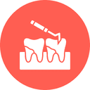 Dental Cleanings